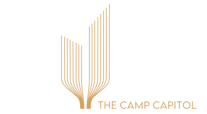 THE WING LOGO
